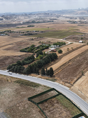 Free Video Consultation