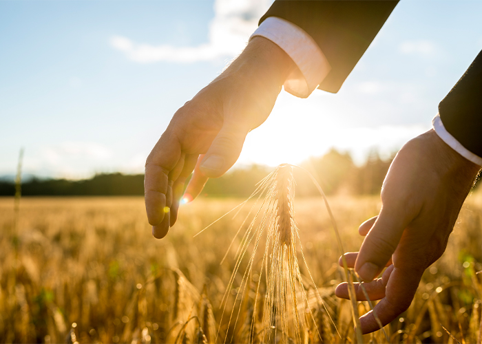 Temel Arazi ve Tarla Yatırımı Eğitimi – Türkiye’de Arazi Yatırımı Neden Önemli?