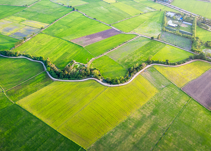 Kurs: Türkiye’de Arazi Toplulaştırması (Toplulaştırma) Nedir ve Neden Önemlidir؟