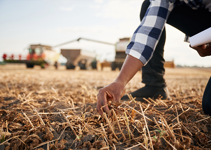 Kurs: Bakanlık Planlamaları Gayrimenkul Yatırımının Geleceğini Nasıl Şekillendiriyor?
